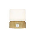 Beech Wood Color (Pack of 1)