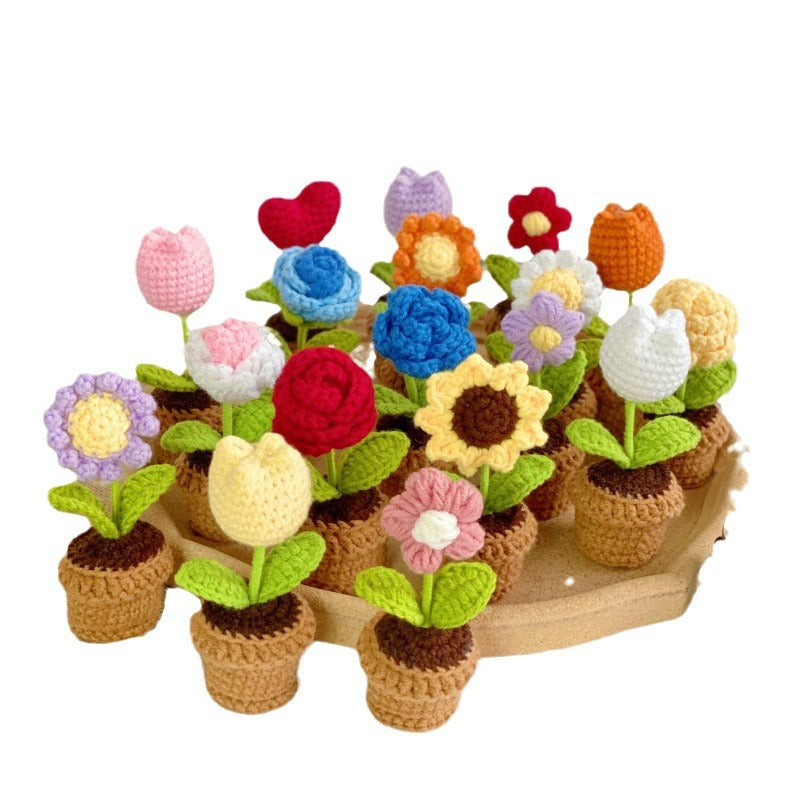 Realistic succulent potted plant front view