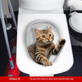MT253023 Kitten D