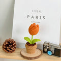 B Style Orange Tulip Potted Plant